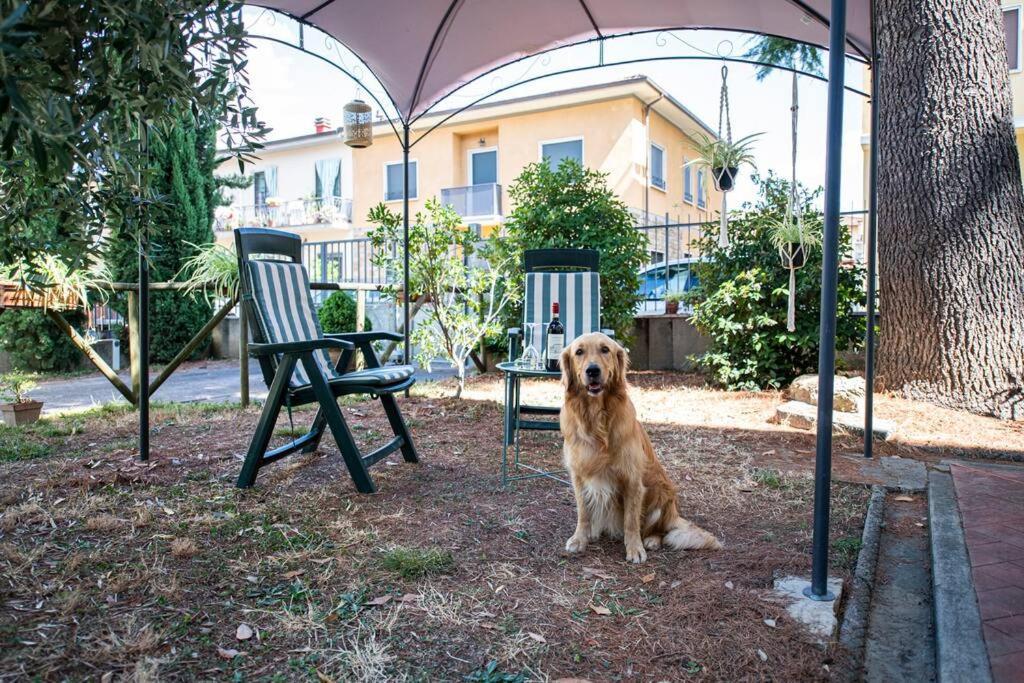 Easy Florence Scandicci Bagian luar foto